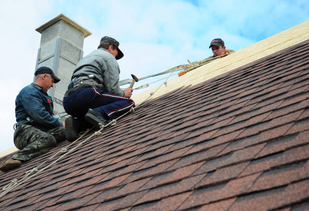 Best Gutter Installation and Roofing  in Ridgemark, CA
